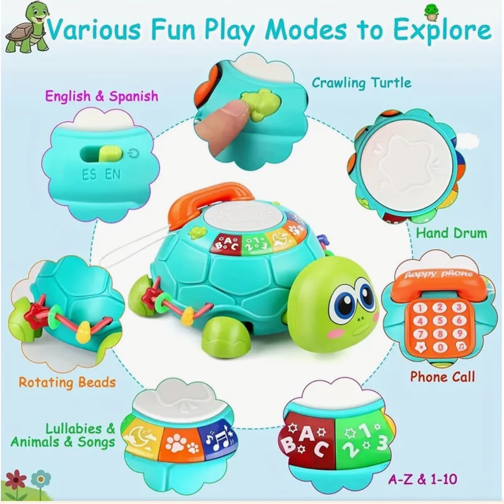 Toddler Play Learn Explore Educational Turtle